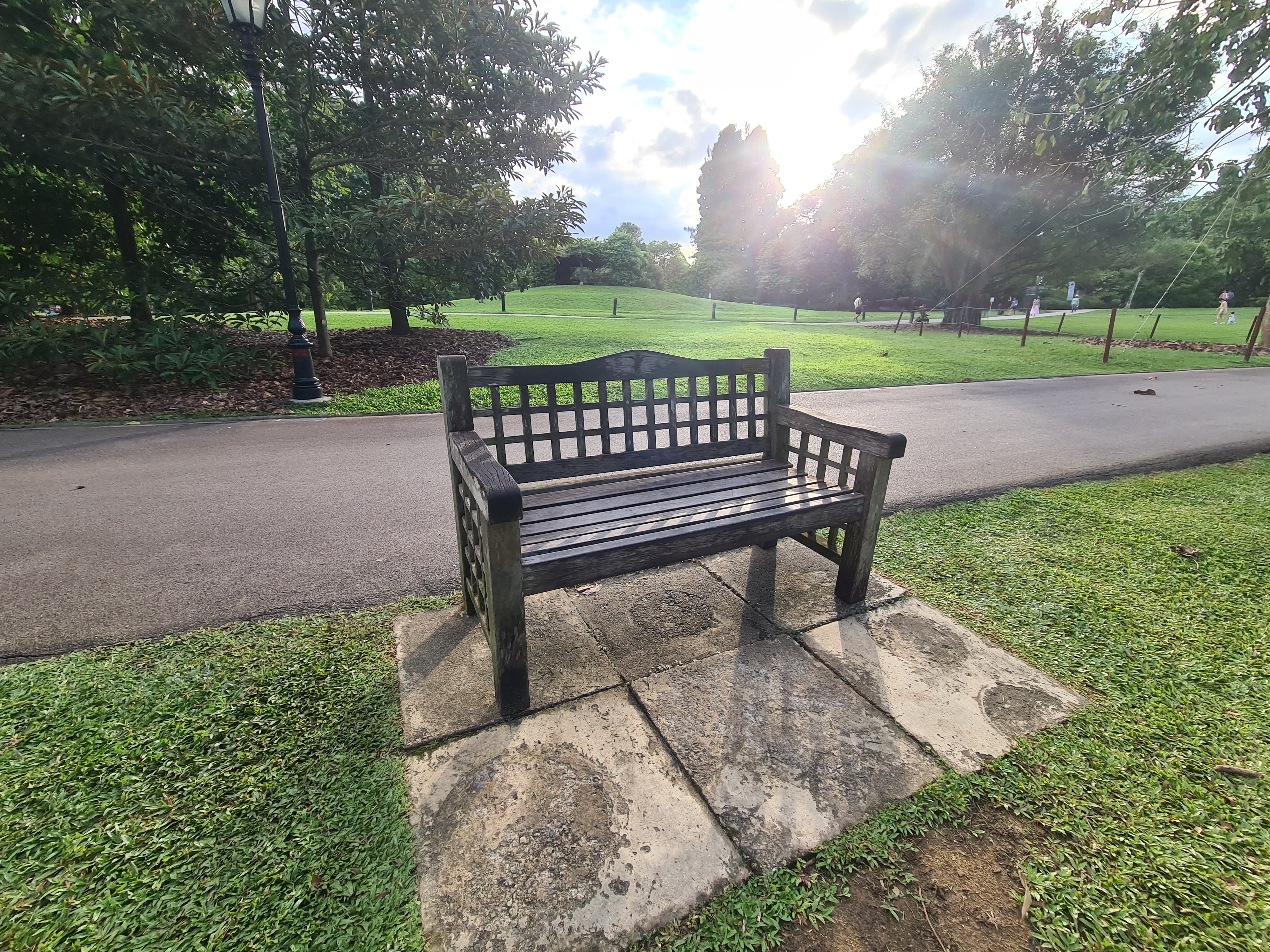 Bench 1 in park